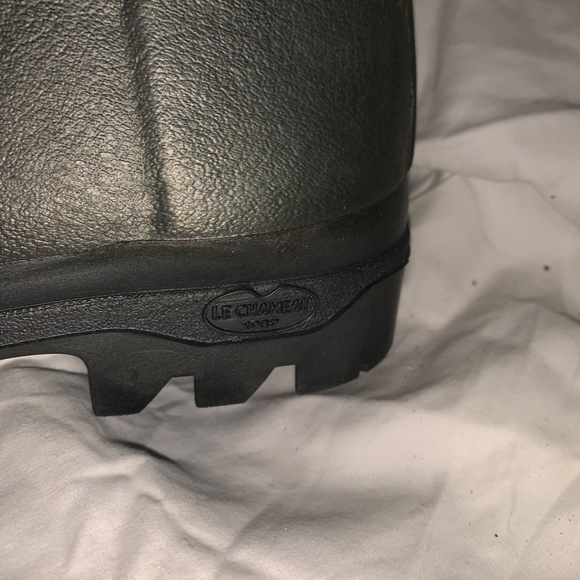 SOLD - NWB LE CHAMEAU BOOTS in PLATINUM sz 37 - Picture 3 of 6